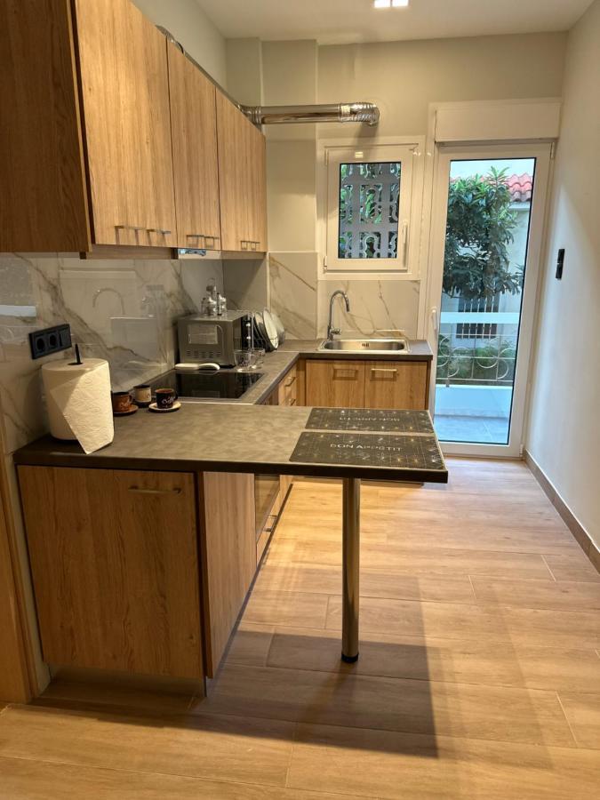 Vasilis Luxury Apartment アテネ エクステリア 写真