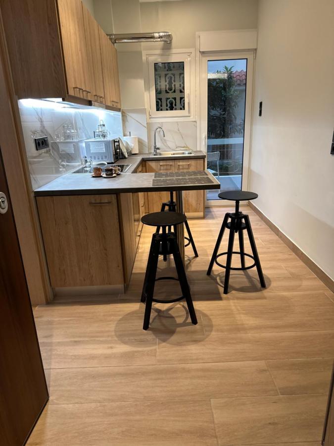 Vasilis Luxury Apartment アテネ エクステリア 写真