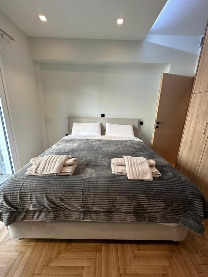 Vasilis Luxury Apartment アテネ エクステリア 写真