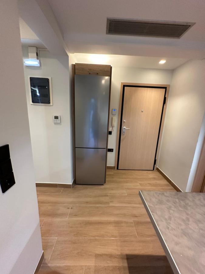 Vasilis Luxury Apartment アテネ エクステリア 写真